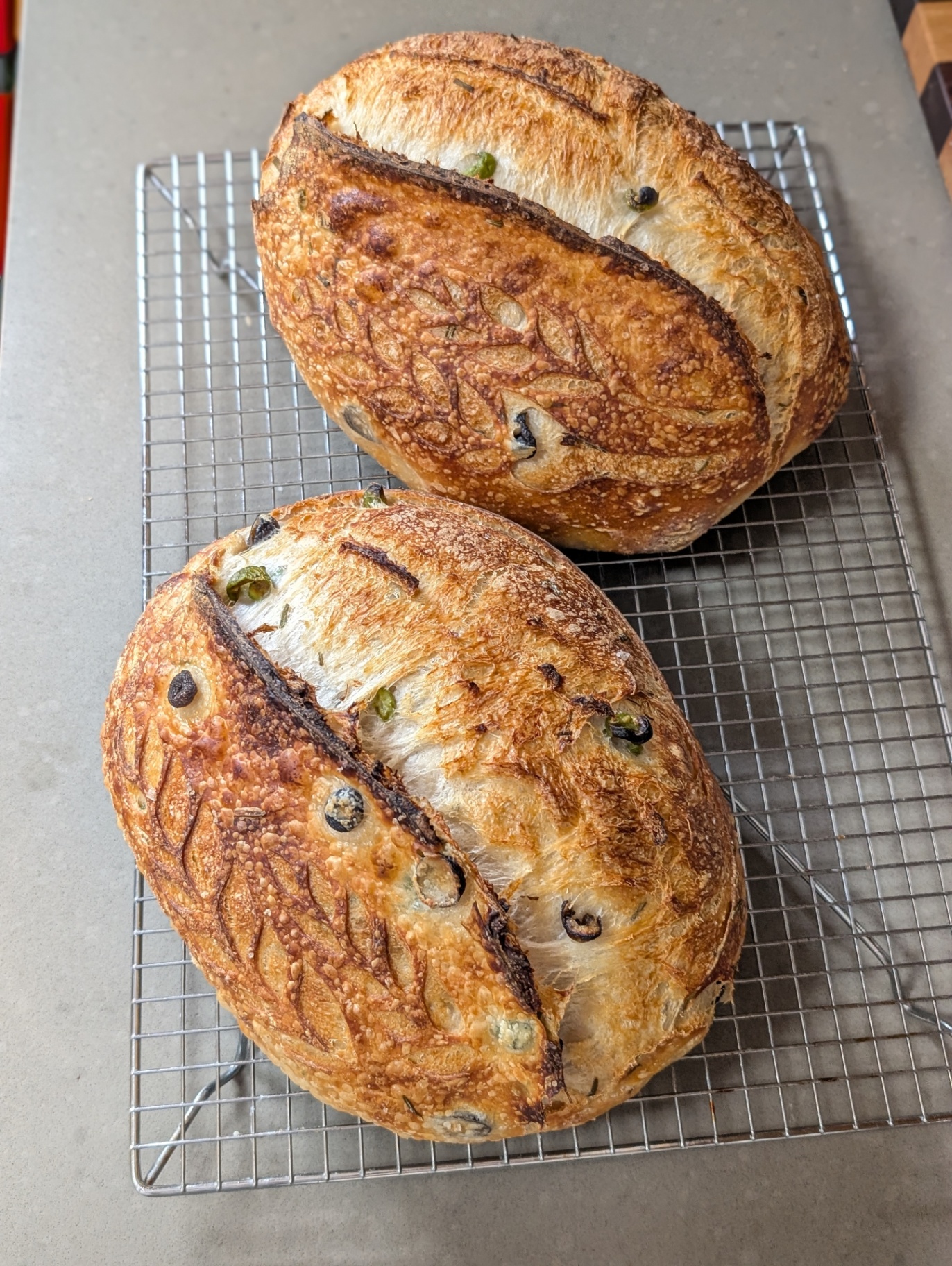 Two olive and rosemary sourdough loaves cooling on a wire rack